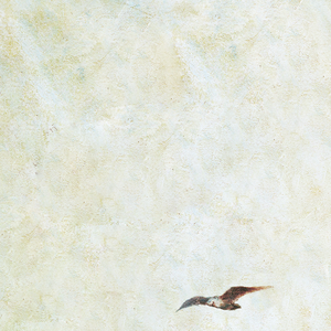 免费看裸体美女www
